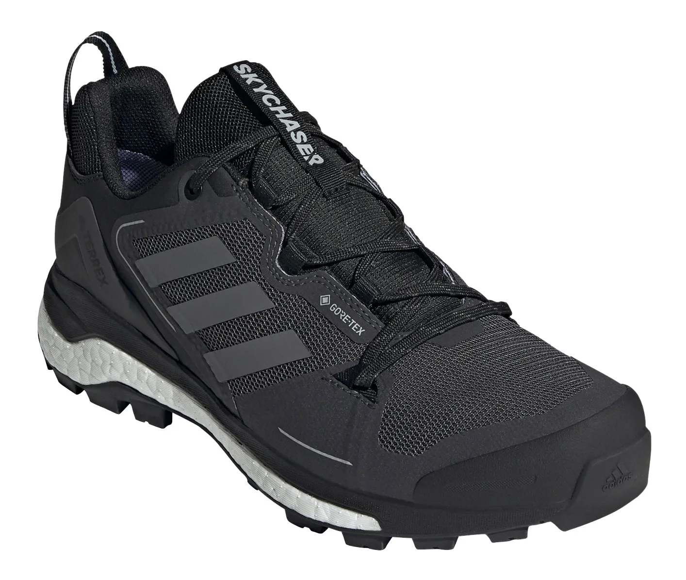 adidas Men's Terrex Skychaser GORE-TEX 2.0 Hiking Shoe