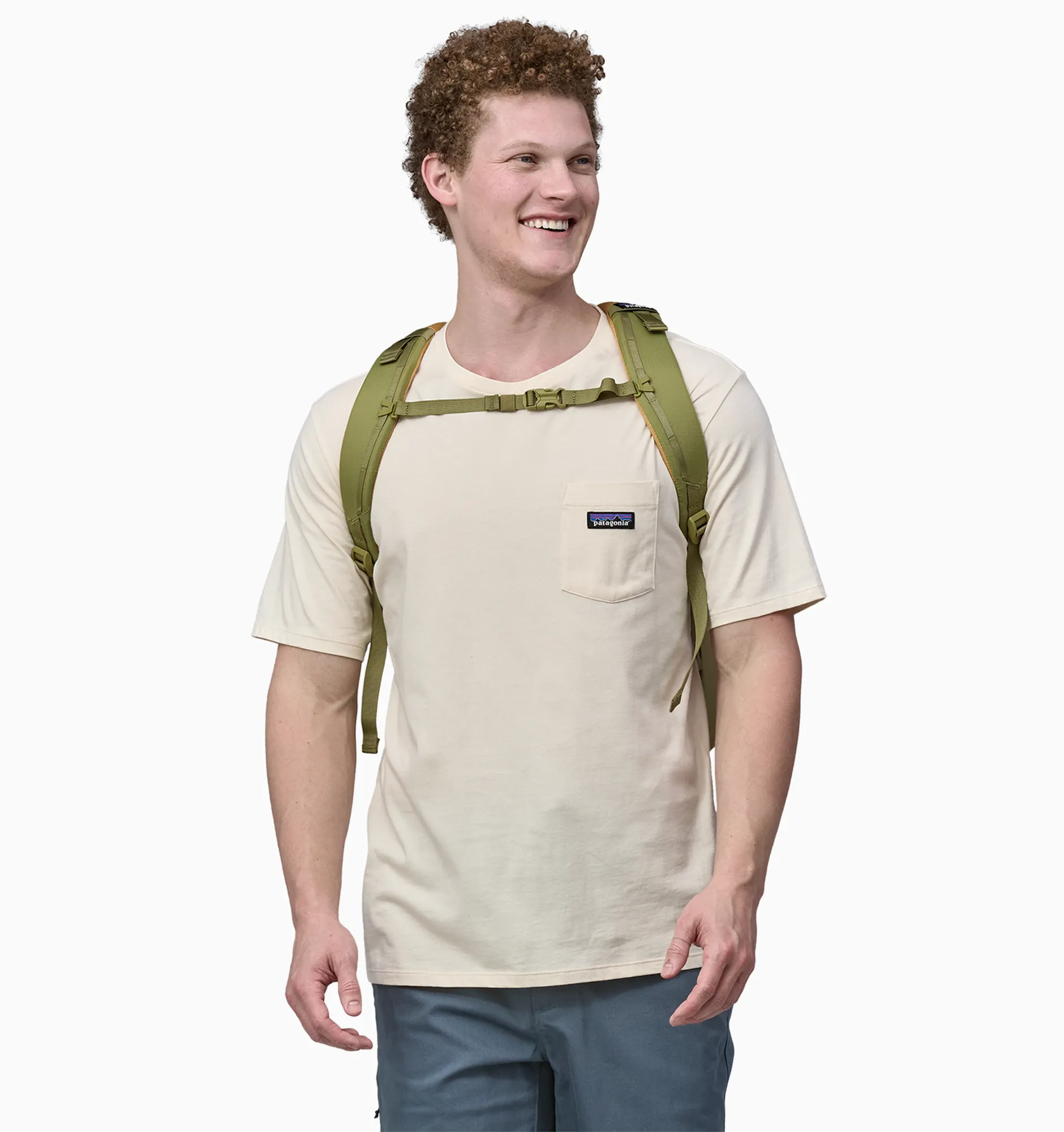Patagonia Refugio Daypack 30L